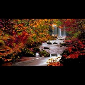 Meet your Posher, Bogusia